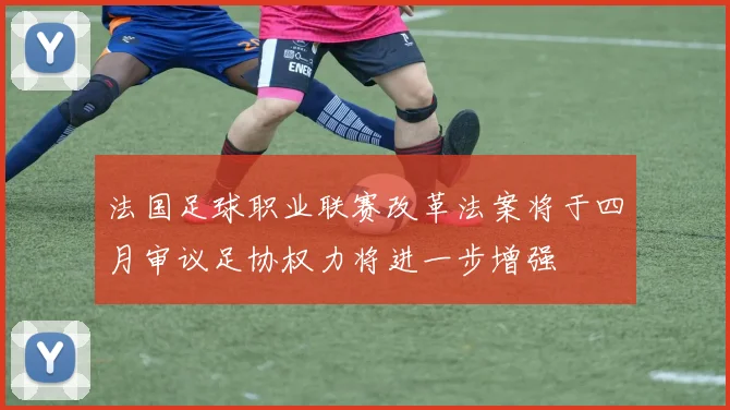 法国足球职业联赛改革法案将于四月审议足协权力将进一步增强